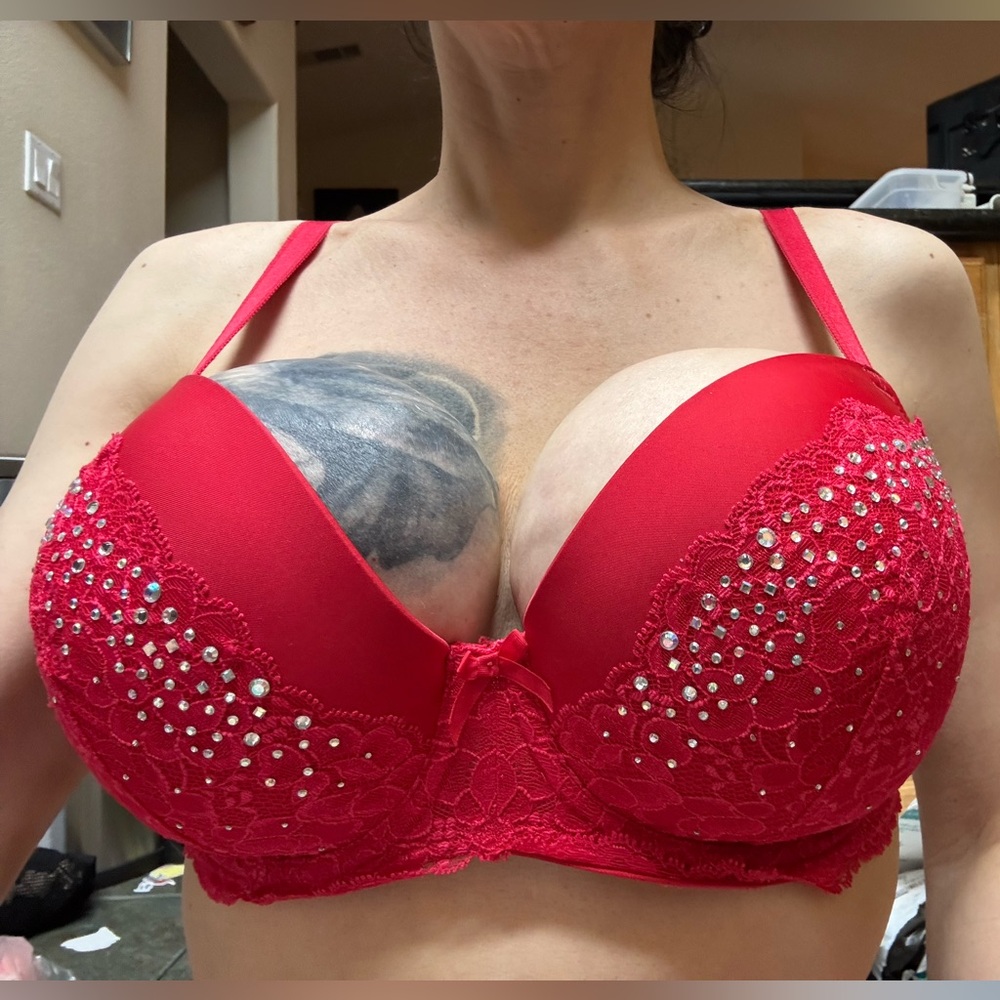 Elegant Red Lace Embellished Bra